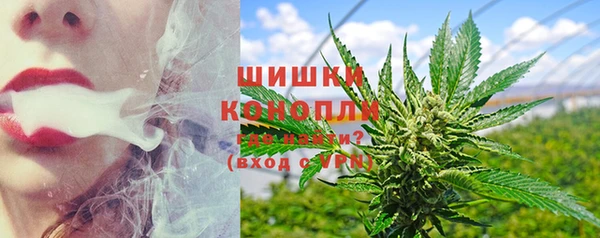 ГАЛЛЮЦИНОГЕННЫЕ ГРИБЫ Абаза