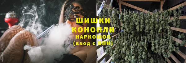 ГАЛЛЮЦИНОГЕННЫЕ ГРИБЫ Абаза