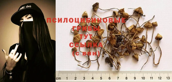 ГАЛЛЮЦИНОГЕННЫЕ ГРИБЫ Абаза